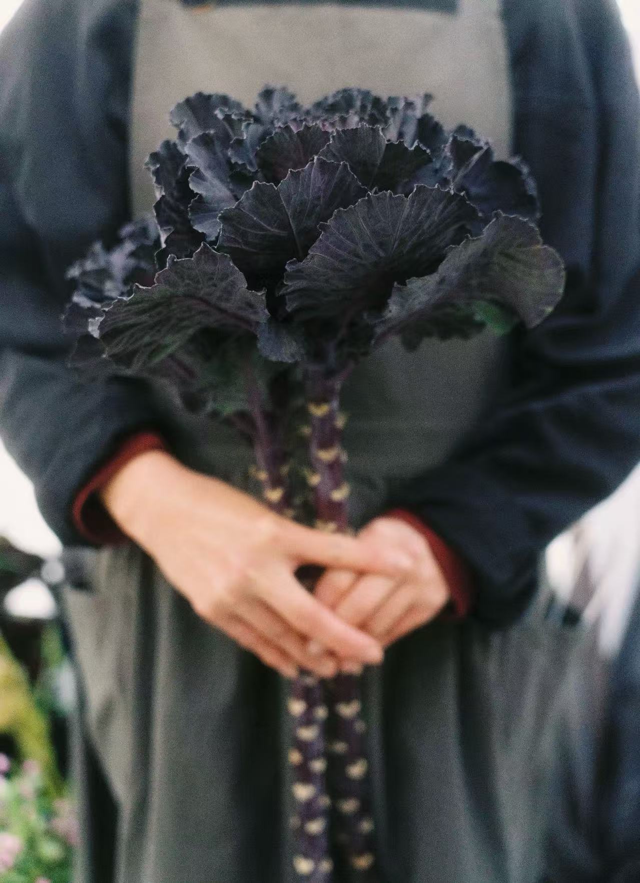 Flower Workshop at Glasshouse