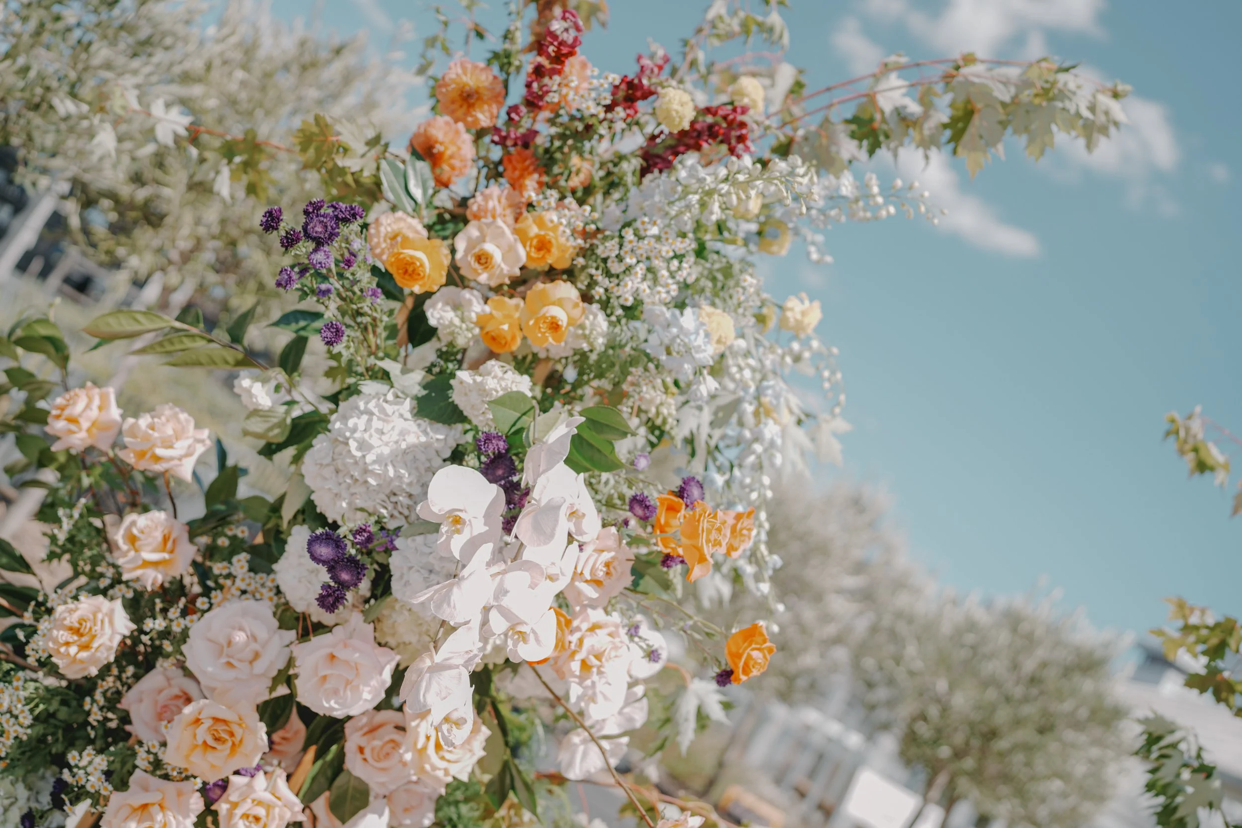 T & M Wedding