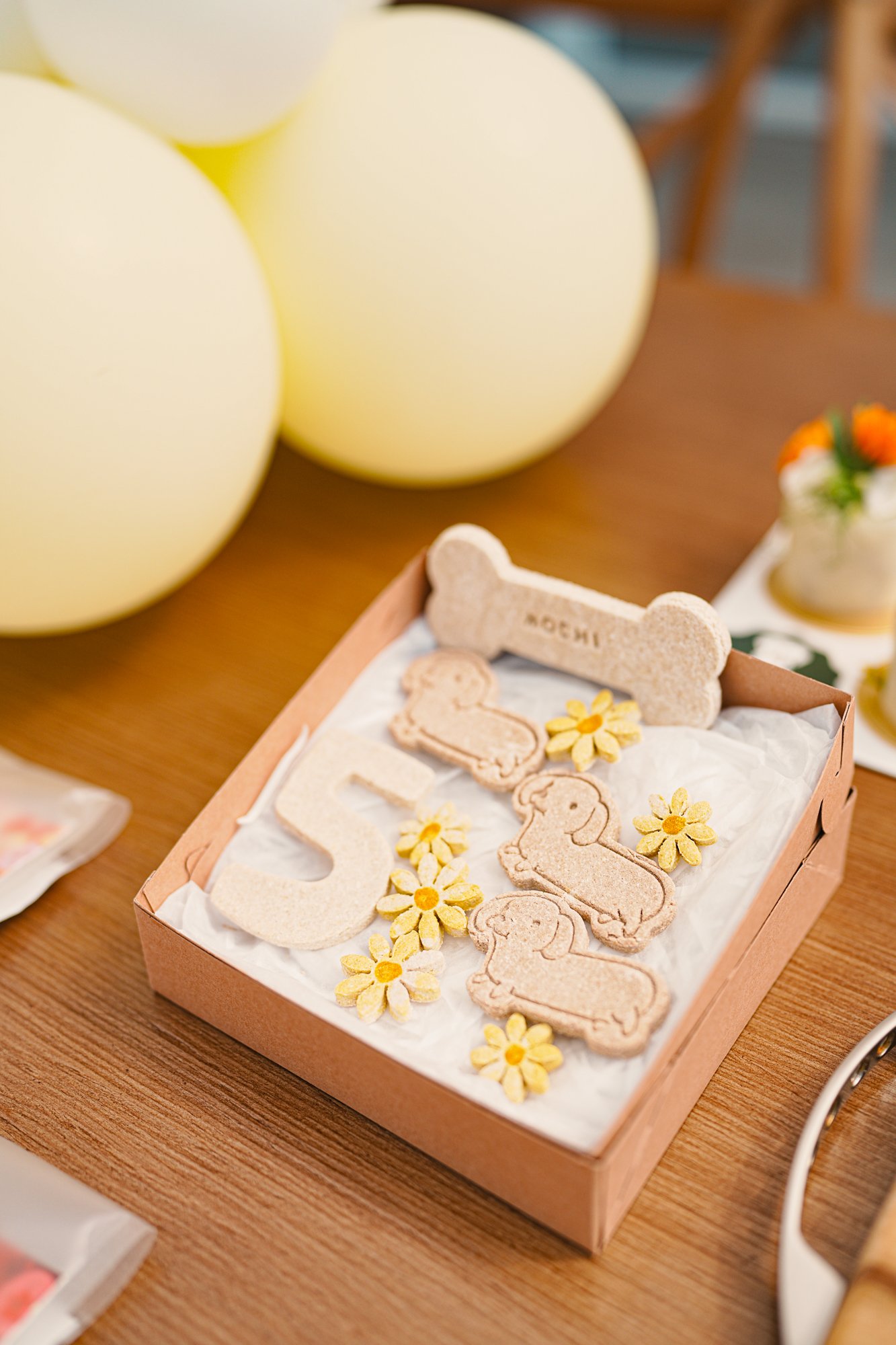 Mochi dog birthday party at pet-friendly Petit House venue
